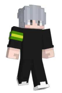 naokitabw Minecraft avatar full body
