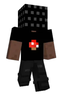 naopecar Minecraft avatar full body