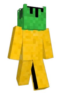 nappleninja Minecraft avatar full body