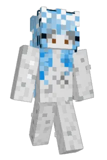 napxdd Minecraft avatar full body