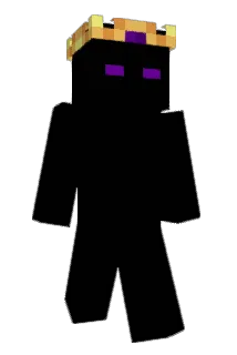 naragu7 Minecraft avatar full body
