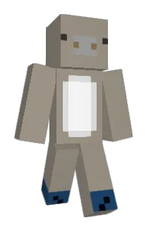narajac Minecraft avatar full body