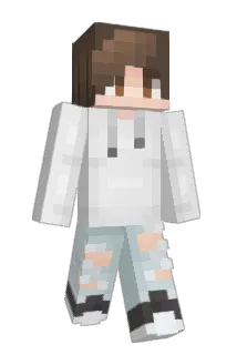 narkiCZ Minecraft avatar full body