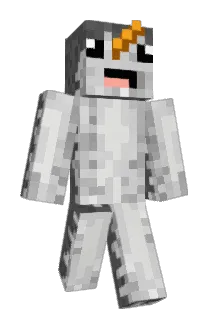 narwhale8246 Minecraft avatar full body