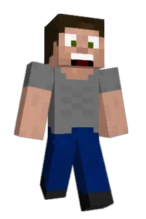 narwhalorder Minecraft avatar full body