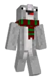 narwhls Minecraft avatar full body