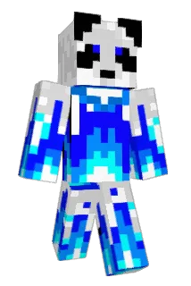 naseuy Minecraft avatar full body