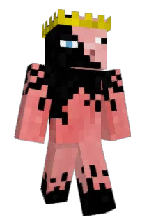 nashbuster Minecraft avatar full body