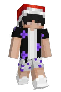 natanfn Minecraft avatar full body