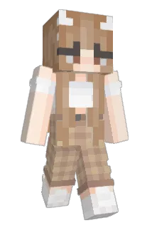 nationaliseit Minecraft avatar full body