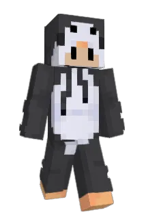 nationwave Minecraft avatar full body