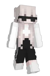 natstarek Minecraft avatar full body
