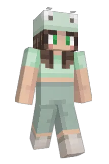 nattdunn Minecraft avatar full body