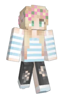 nayanyc Minecraft avatar full body