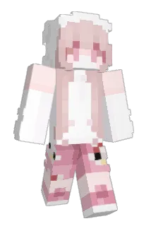 nb45 Minecraft avatar full body