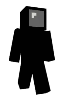 nb62304 Minecraft avatar full body