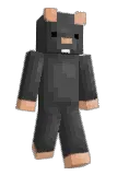 nbvm Minecraft avatar full body