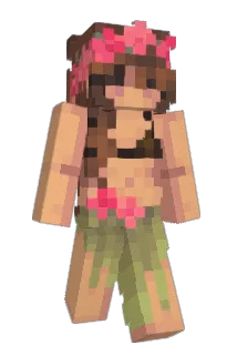 ndmenkee Minecraft avatar full body