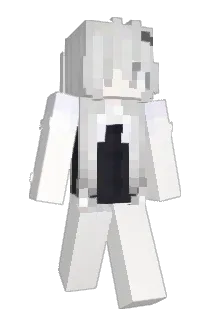 ndwi Minecraft avatar full body