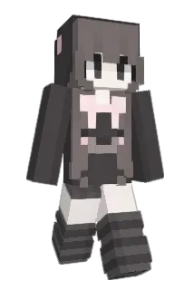 ndzztd Minecraft avatar full body