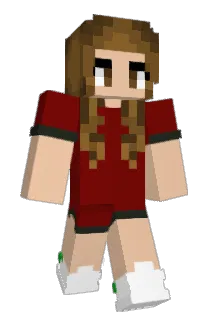 nech1 Minecraft avatar full body