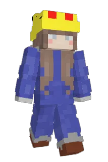 ned883 Minecraft avatar full body