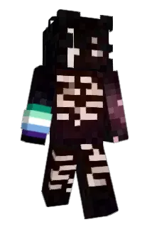 neddstool Minecraft avatar full body