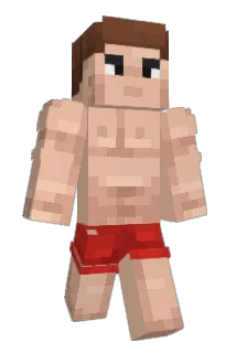 nefor123001 Minecraft avatar full body