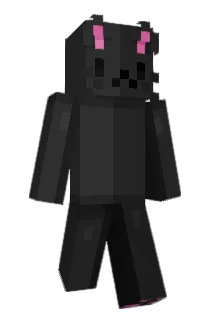 nekned1uj Minecraft avatar full body