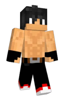 nemywings Minecraft avatar full body