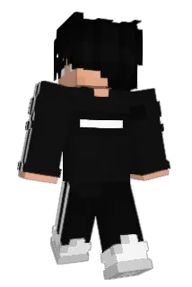 nepla05 Minecraft avatar full body