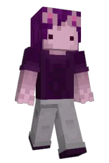 nerdie01 Minecraft avatar full body