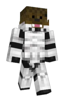 nerfninja2 Minecraft avatar full body