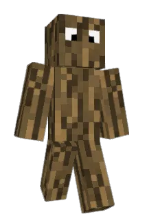 nerkvin Minecraft avatar full body