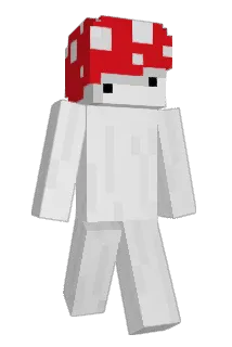 nerotygrys Minecraft avatar full body