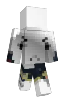 nes_17 Minecraft avatar full body