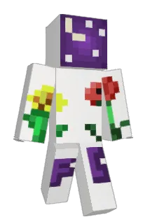 ness8 Minecraft avatar full body
