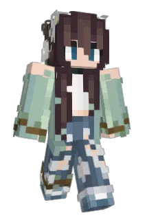net_cat Minecraft avatar full body