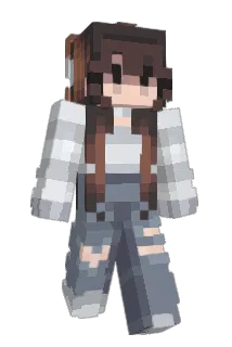 netflixus Minecraft avatar full body