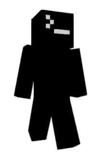 netin Minecraft avatar full body