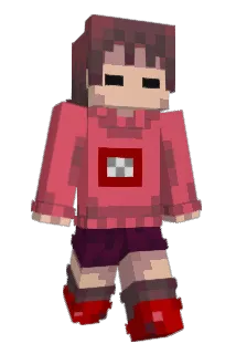 nettolover Minecraft avatar full body