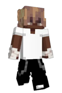 nettork Minecraft avatar full body