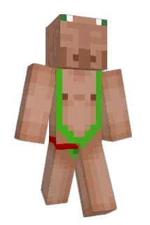 neturtelis Minecraft avatar full body