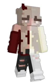 neverkillpigs1 Minecraft avatar full body