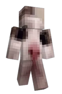 newcat55 Minecraft avatar full body