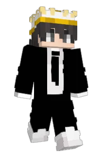 newchunks69 Minecraft avatar full body