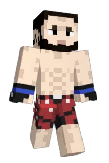newinmc Minecraft avatar full body