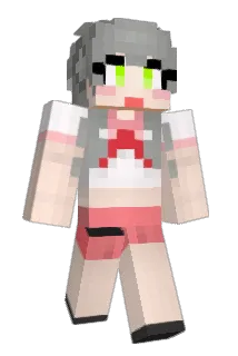 newong Minecraft avatar full body