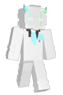 nex_en Minecraft avatar full body