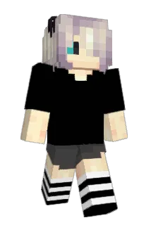 nextlevelpugZ Minecraft avatar full body